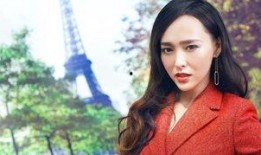 王芳怀孕爆料事件视频,真相与猜测交织